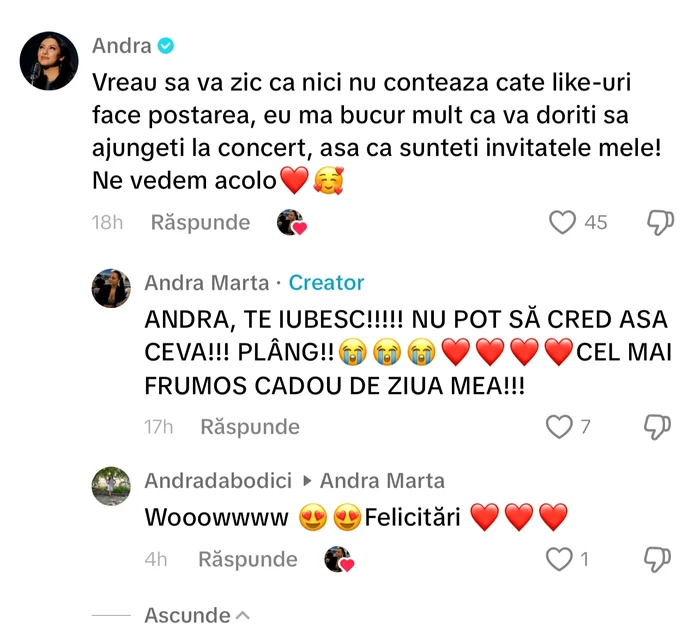 Andra le-a invitat pe cele două la concert