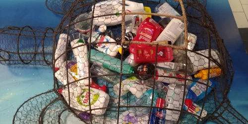 Broscuta reciclare Kaufland