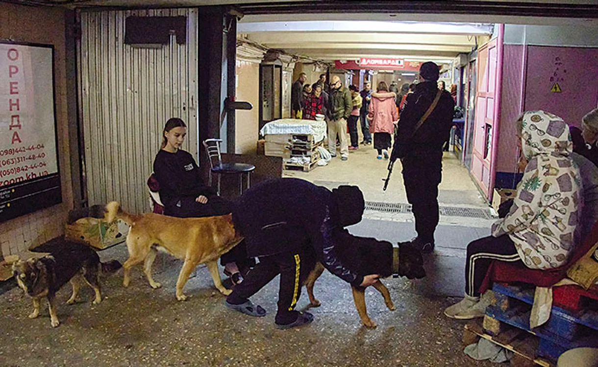 Buncărul a devenit adăpost și pentru animale. Foto: EPA-EFE