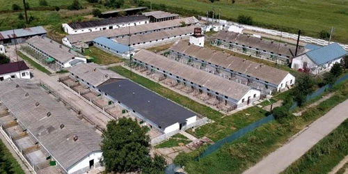 Prezentare Penitenciarul Bucureşti - Rahova / SURSA FOTO just.ro