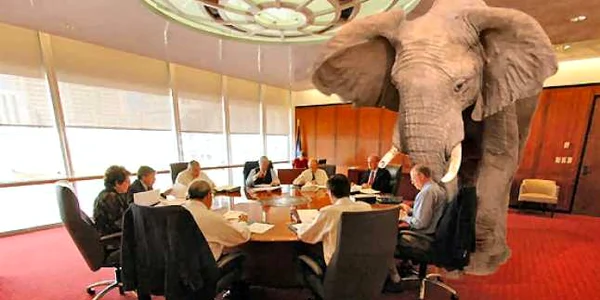 elefant