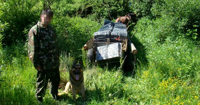 Bărbatul transporta peste 15.000 de pachete cu ţigări cu căruţa Foto: Adevărul