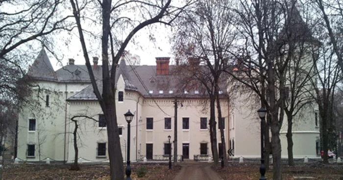Arhitectul Arthur Meinig a construit castelul în stil eclectic