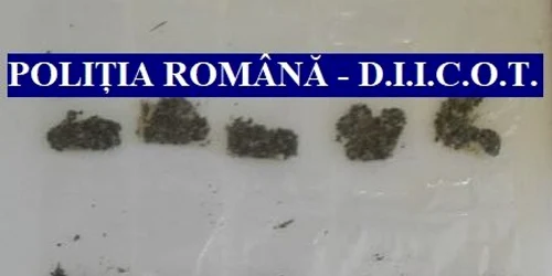 droguri alba