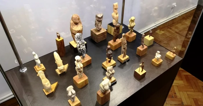 expozitie melci targoviste
