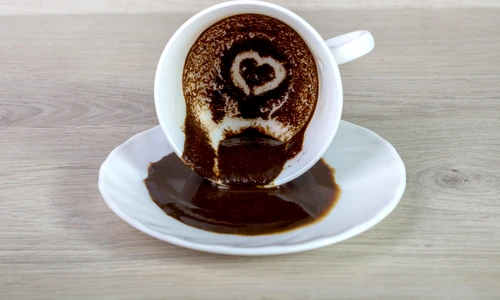 1 shutterstock 568676305 jpg jpeg