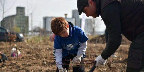 slobozia plantare de puieti la Urziceni FOTO Primaria Mun Urziceni