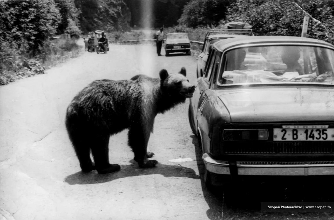 Transfăgărășan în anul 1982. Foto: Attila Toth. Fototeca AZOPAN
