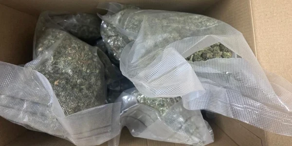 cannabis foto ipj constanta