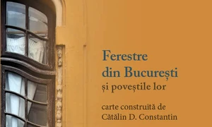 Ferestre din Bucureşti şi poveştile lor, SoNoRo, Darwin’s Room jpeg