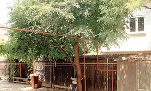 Viorel (39 de ani) a fost  dus la Spitalul “Bagdasar Arseni”,  unde a fost operat de urgenţă (Captură: Rtv) jpeg