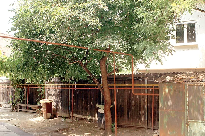 Viorel (39 de ani) a fost dus la Spitalul “Bagdasar Arseni”, unde a fost operat de urgenţă (Captură: Rtv)