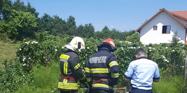 Inecat  ISU ARGES