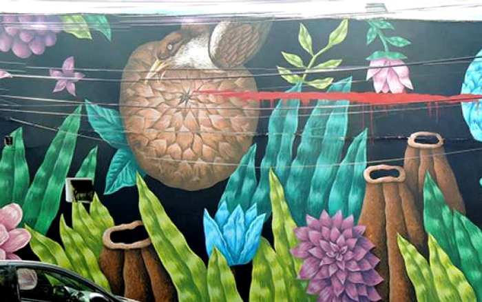 Mural realizat de artistul Saddo pe strada Arthur Verona                                             Sursa foto: saddo.ro