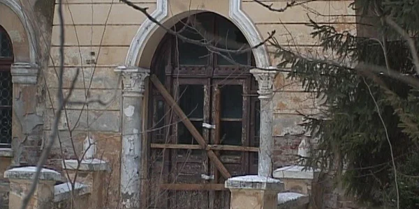 braila um