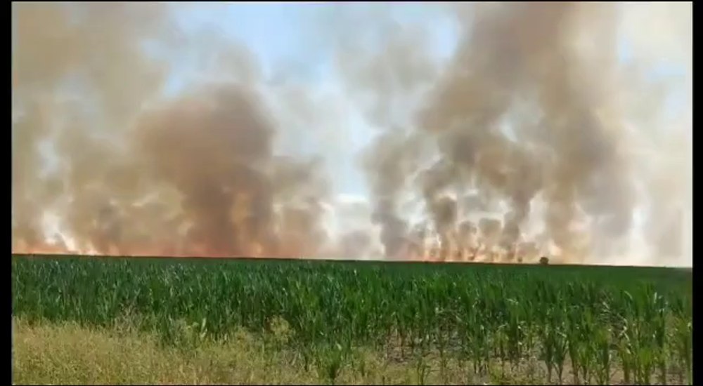 Incendiu într-un lan de grâu și orz, pe o suprafață de zece hectare VIDEO