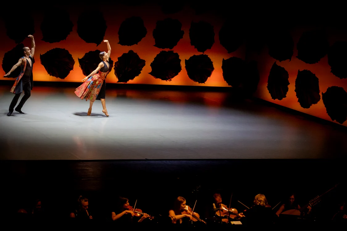 Foto: Petrică Tănase / George Enescu Festival