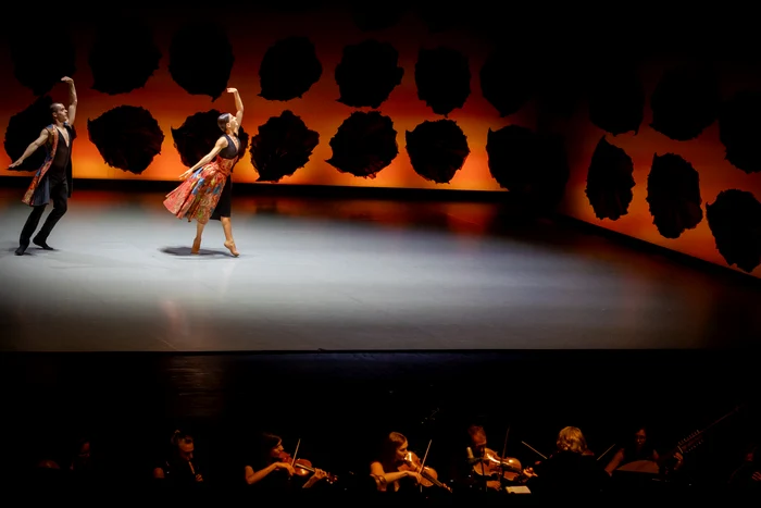 Foto: Petrică Tănase / George Enescu Festival