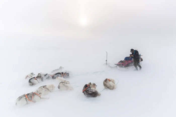 Expediție polară, fotografiată de Morten Hilmer