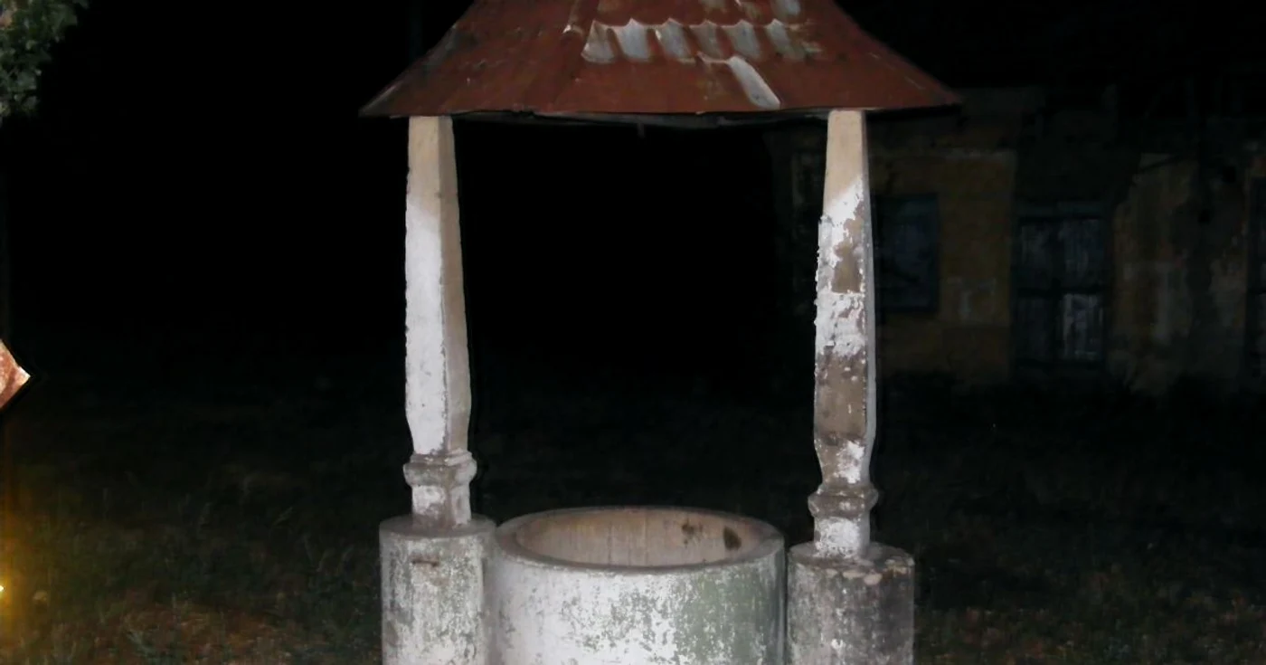 S-a aruncat în fântână FOTO Arhivă Adevărul