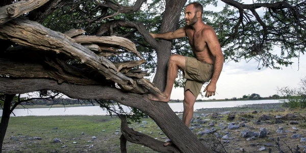 Ed Stafford discovery 