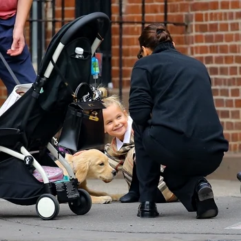 2 profimedia 0636956935 jpg jpeg