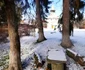 Bisericile medievale din Geoagiu Foto Daniel Guță ADEVĂRUL (14) jpg