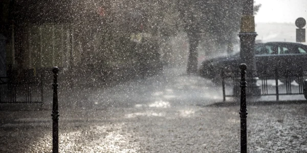 ploaie vreme avertizare meteo FOTO Shutterstock