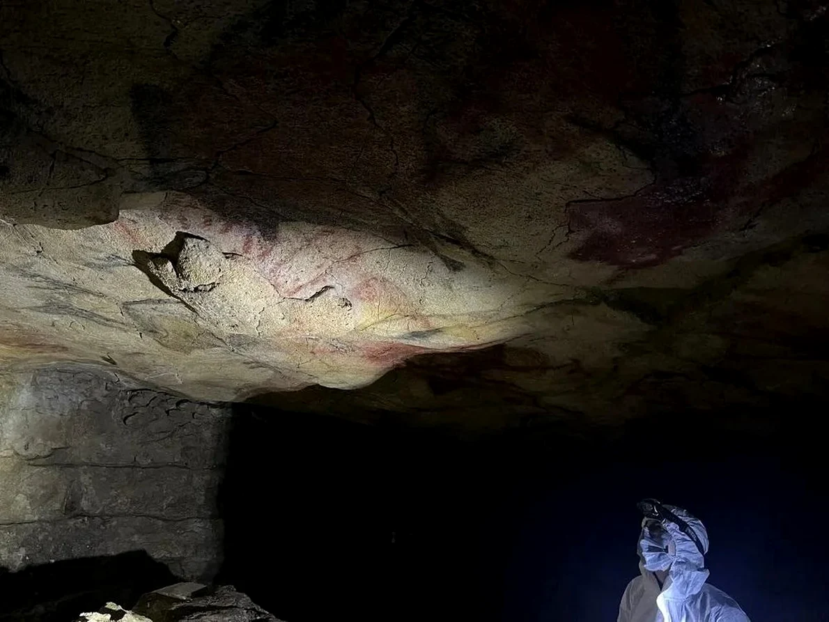 Tavan policrom în Peștera Altamira, din care au fost analizate probe de pigment (© Matthias Meyer)
