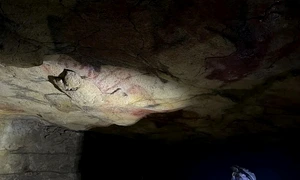 Tavan policrom în Peștera Altamira, din care au fost analizate probe de pigment (© Matthias Meyer)