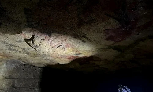 Tavan policrom în Peștera Altamira, din care au fost analizate probe de pigment (© Matthias Meyer)
