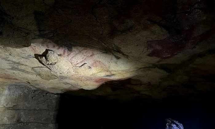 Tavan policrom în Peștera Altamira, din care au fost analizate probe de pigment (© Matthias Meyer)