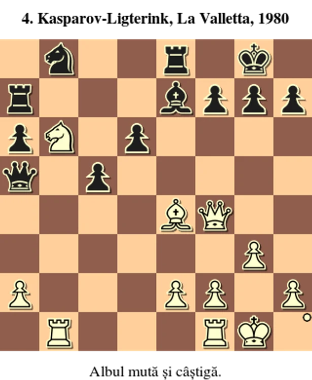 Garry Kasparov se întoarce png