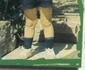 184071 2RD557CMOYC6PUNEYZVYBRNSP7LIGN little1f H184912 L jpeg