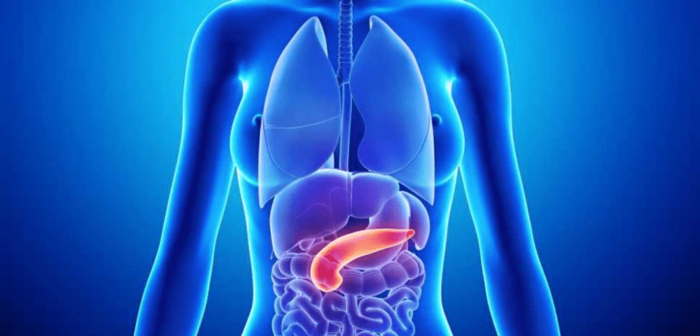 Pancreasul artificial a fost testat cu succes pe 26 de voluntari diabetici