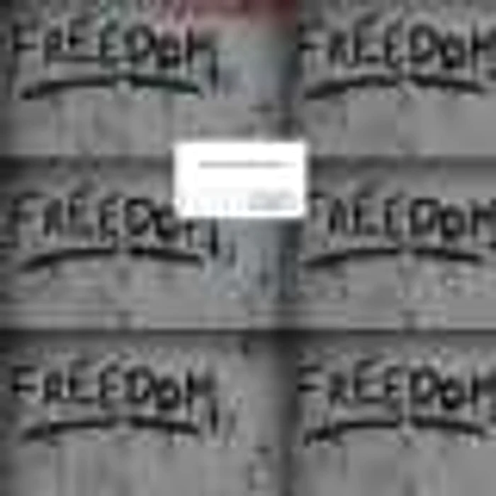 site adjud