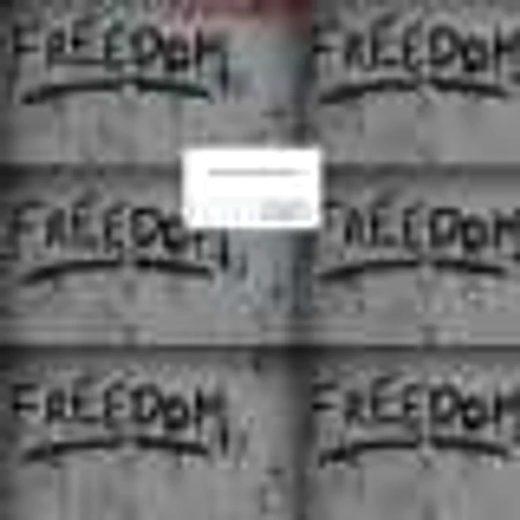 site adjud
