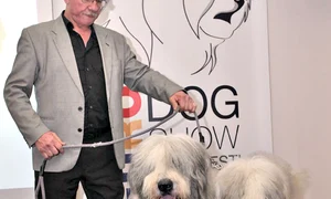 Câinele nu ar trebui să cunoască  gustul preparatelor noastre, ci să  mănânce doar mâncarea lui jpeg