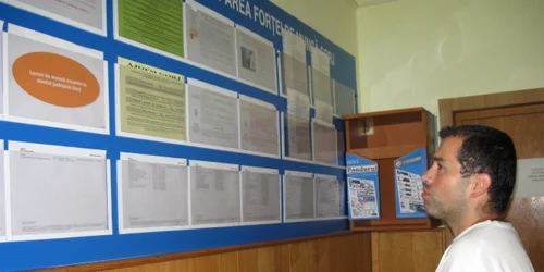 Cele mai multe locuri de munca se adresează celor cu studii medii