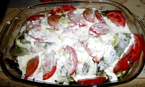 CLIIMA20140411 0180 1 jpeg