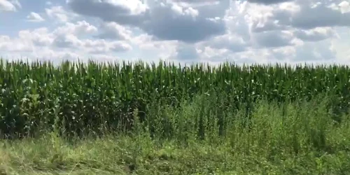 Accident petrecut pe DN1, în judeţul Prahova