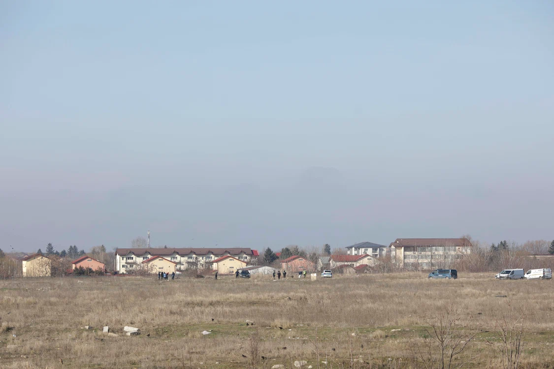 ASPA anunța un recensământ al animalelor încă din 2019 FOTO Inquam Photos 
