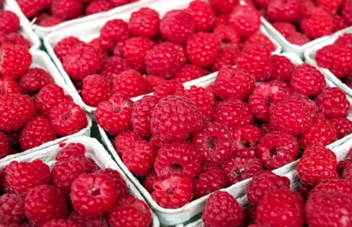 Zmeura conţine vitamine B6, C, carotenoide şi antioxidanţi.