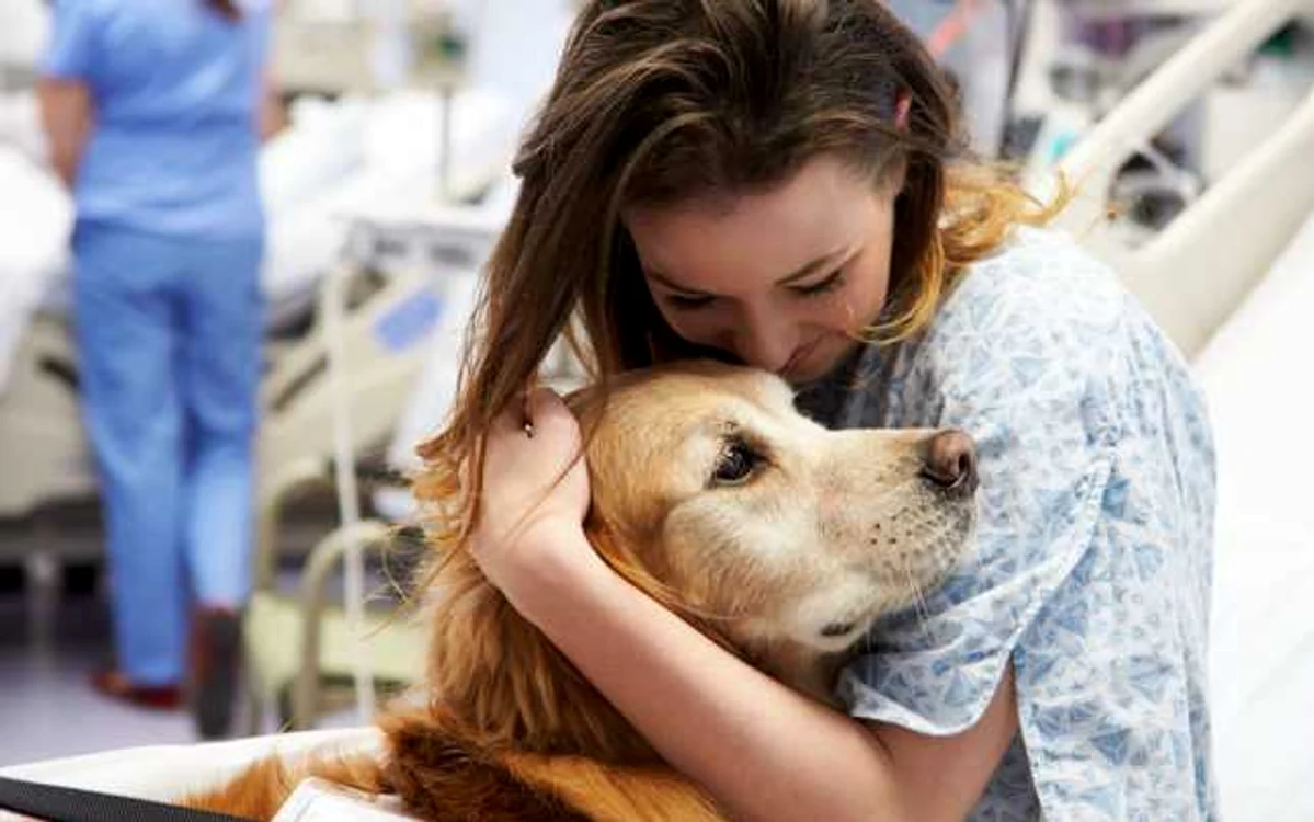 Un câine de terapia este învîţat să facă tot felul de trucuri care să amuze copiii, dar care să şi servească un scop terapeutic FOTO: Shutterstock