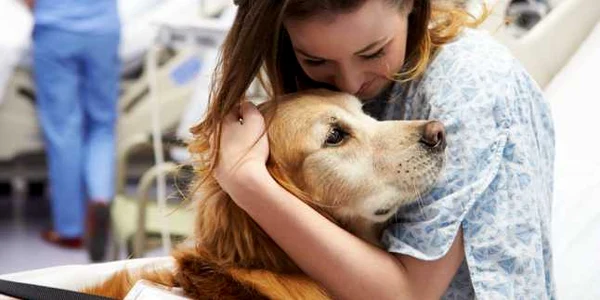caine spital terapie shutterstock