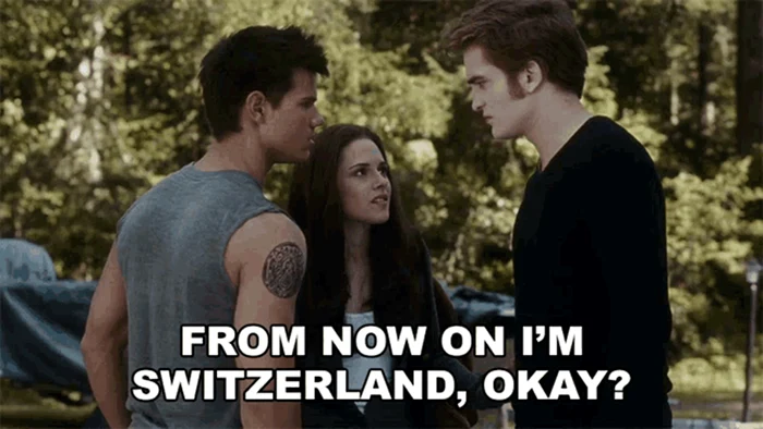 from now on im switzerland okay jpg