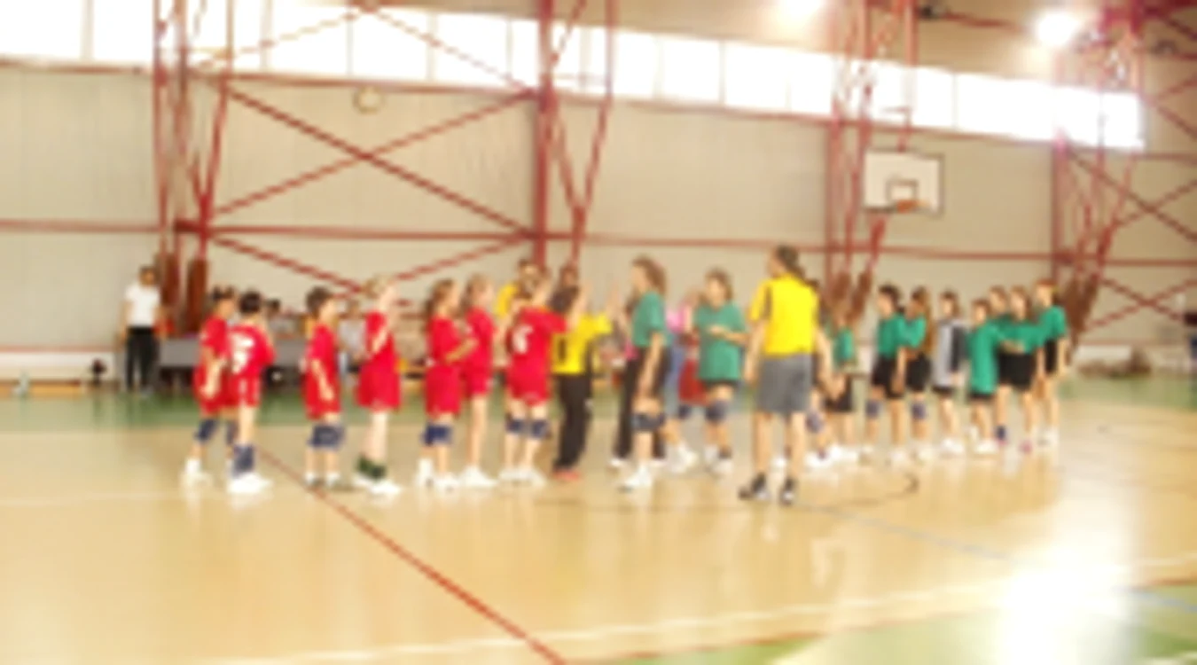Week-end handbalistic la Tulcea