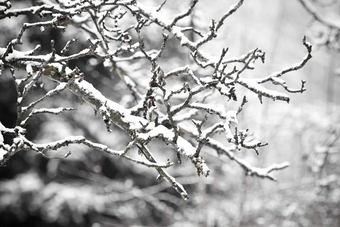 Vremea se strică în toată ţara FOTO pixabay