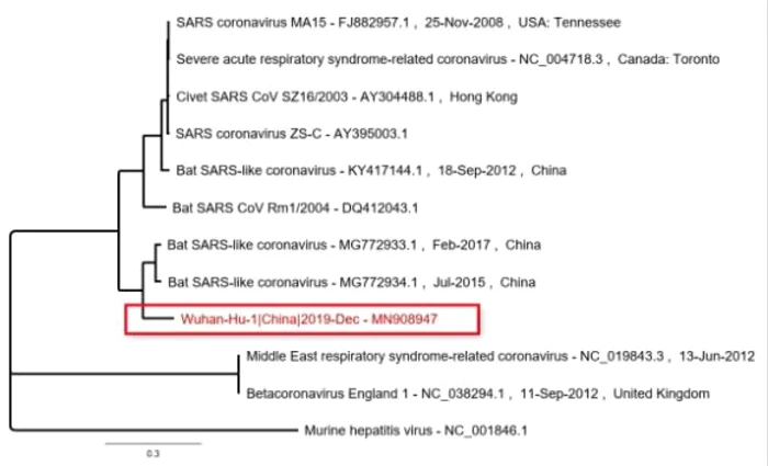 Secventa genetica a coronavirusului din Wuhan FOTO ncbiinsights.ncbi.nlm.nih.gov