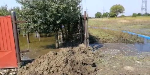 inundatii curtisoara